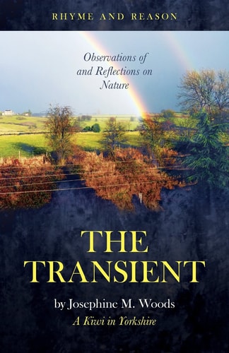 The Transient book cover