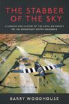 The Stabber of the Sky by Barry Woodhouse